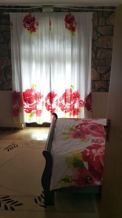 Sara Hotel Buzet Kültér fotó